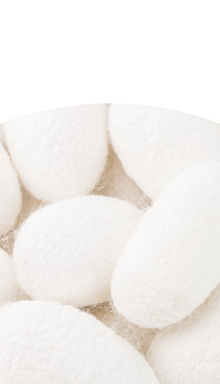 背景画像（モバイル）